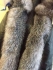 Moncler jacket fox fur 